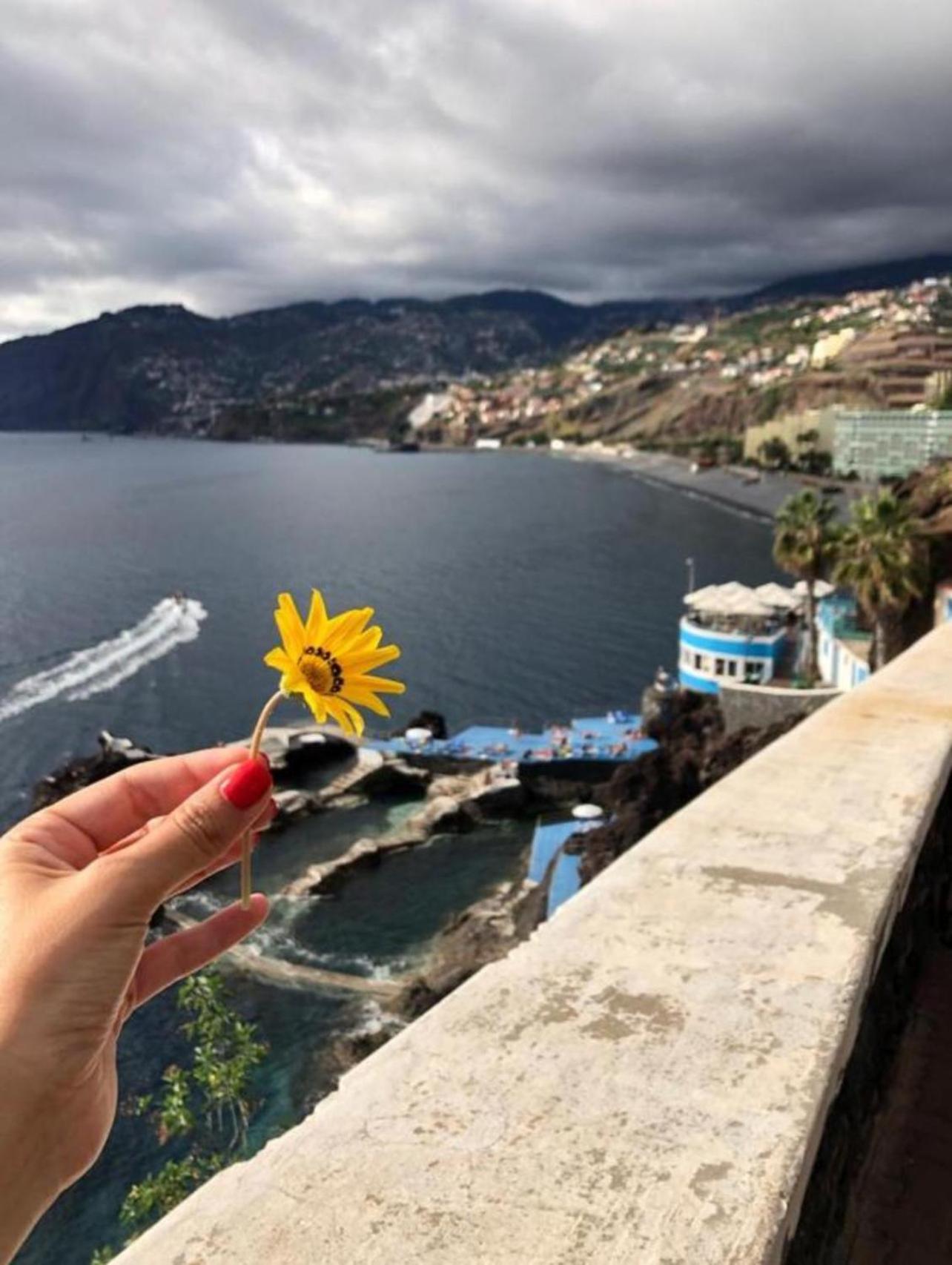 Madeira Residence Apt. 80 Funchal  Exteriér fotografie